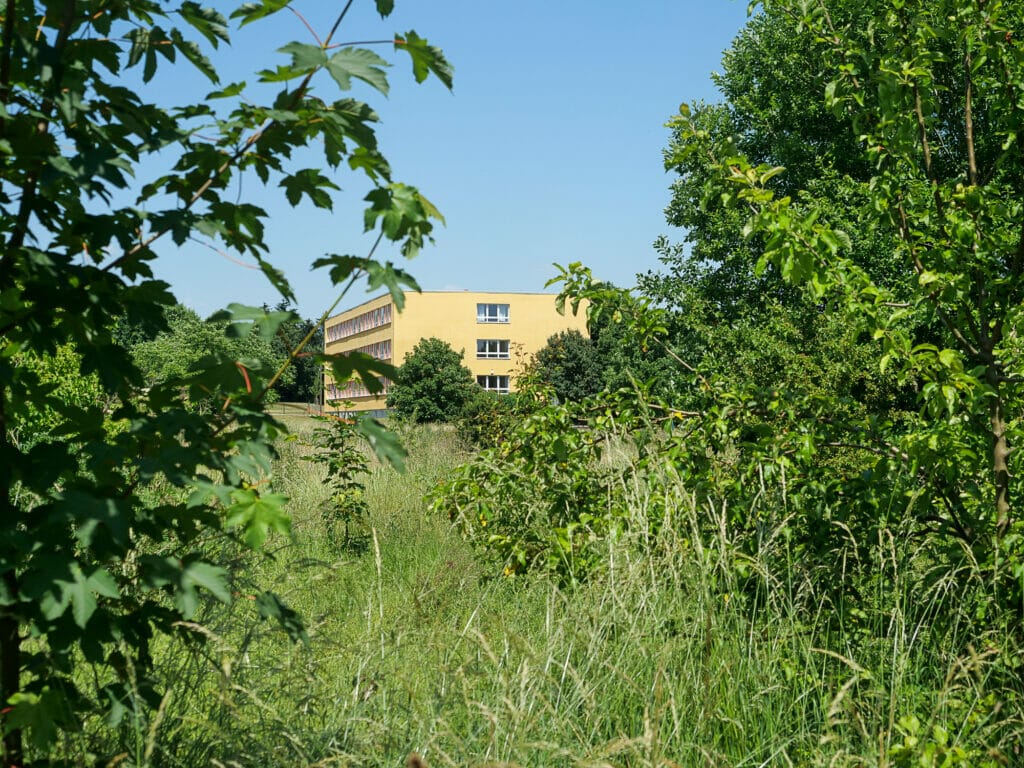 Wiese und Gebüsche im Vordergrund, im Hintergrund ein modernisierter Plattenbau mit gelber Fassade. Heute ist er eine Schule.