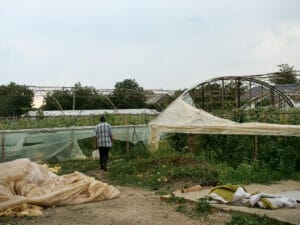 The greenhouses were heavily damaged, too. They are Stepevoy's main source of income.