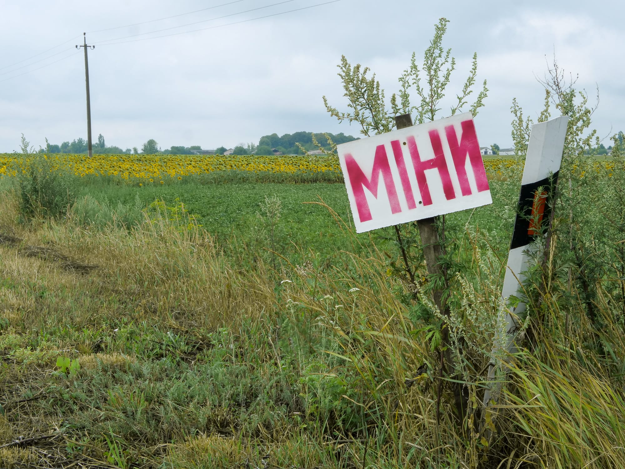 Ein Hinweisschild an der Autobahn zwischen Kyjiw und Uman (nahe Buzivka) warnt vor Minen.