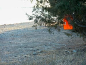 steiniger Strand, im Hintergrund sonnig überstrahltes Wasser, im rechten Bildteil ein fluderiger Nadelbaum, in dem teilweise versteckte eine Schwimmweste hängt. Sie leuchtet in Neonorange hervor.