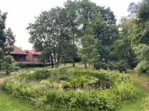 Ein Teich inmitten eines Parks mit Bäumen.